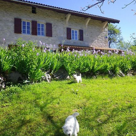 Chambre D'Hotes La Haie Fleurie Chevillard ภายนอก รูปภาพ