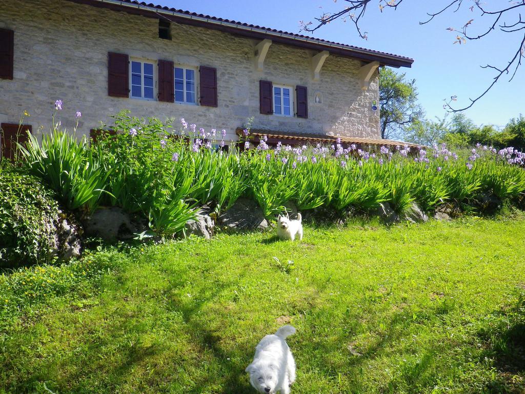 Chambre D'Hotes La Haie Fleurie Chevillard ภายนอก รูปภาพ