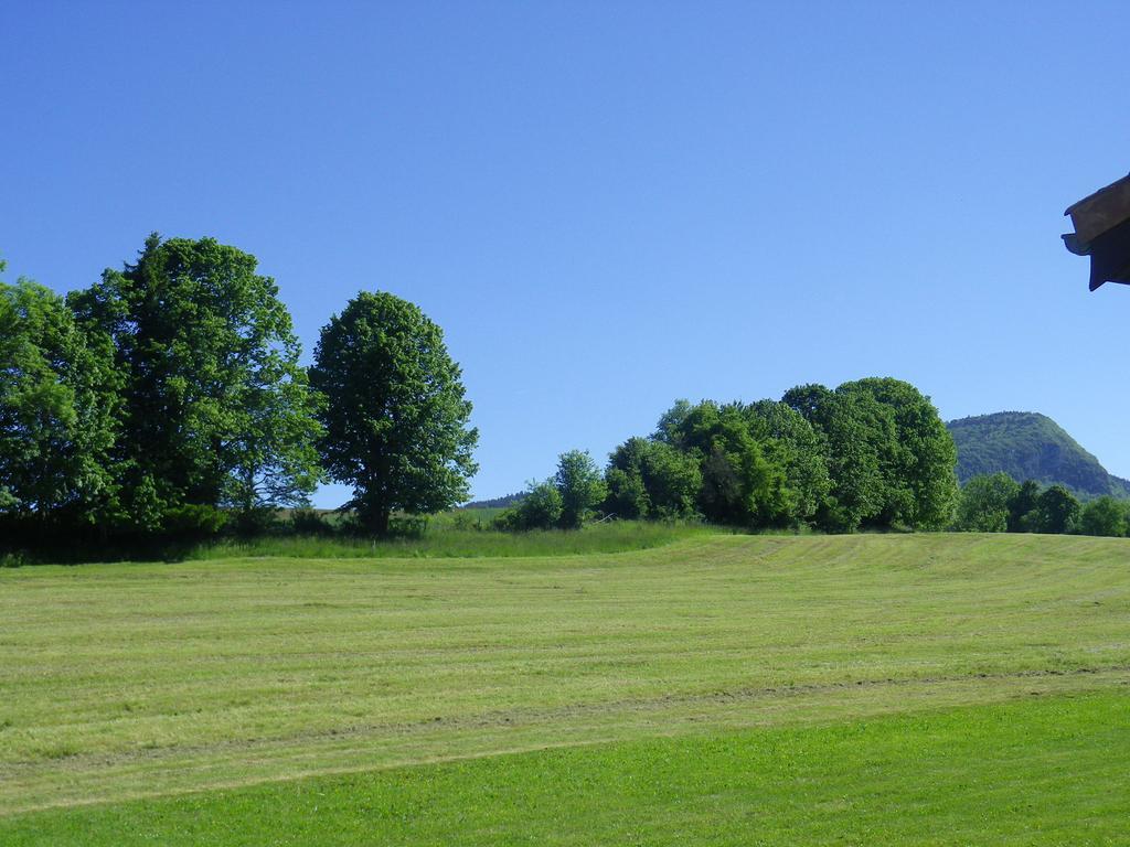 Chambre D'Hotes La Haie Fleurie Chevillard ภายนอก รูปภาพ